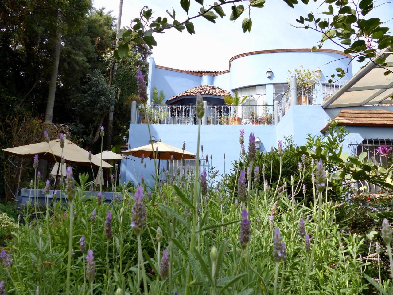 Casa Carly 호텔 산미겔데아옌데 외부 사진